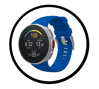 Polar Vantage V